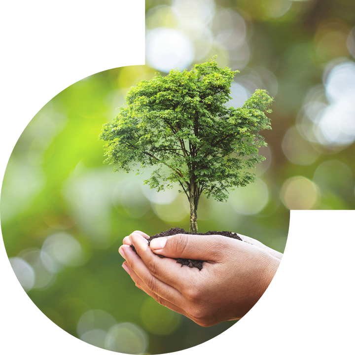 關懷人類、文化、環境與社會